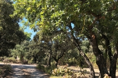 La-Villa-Aux-Buis : Arrivée