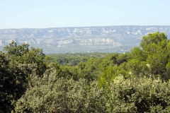 La-Villa-Aux-Buis :  Luberon depuis la Terrasse